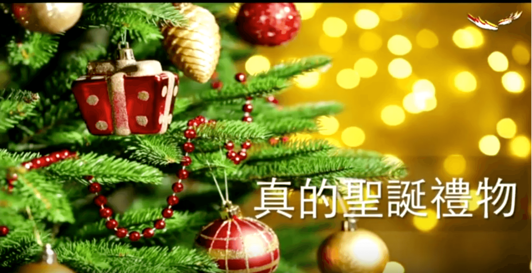 真的聖誕禮物│ 張光偉牧師
